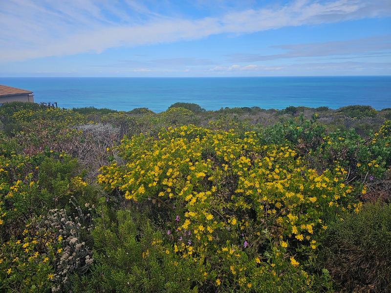 0 Bedroom Property for Sale in Village On Sea Western Cape